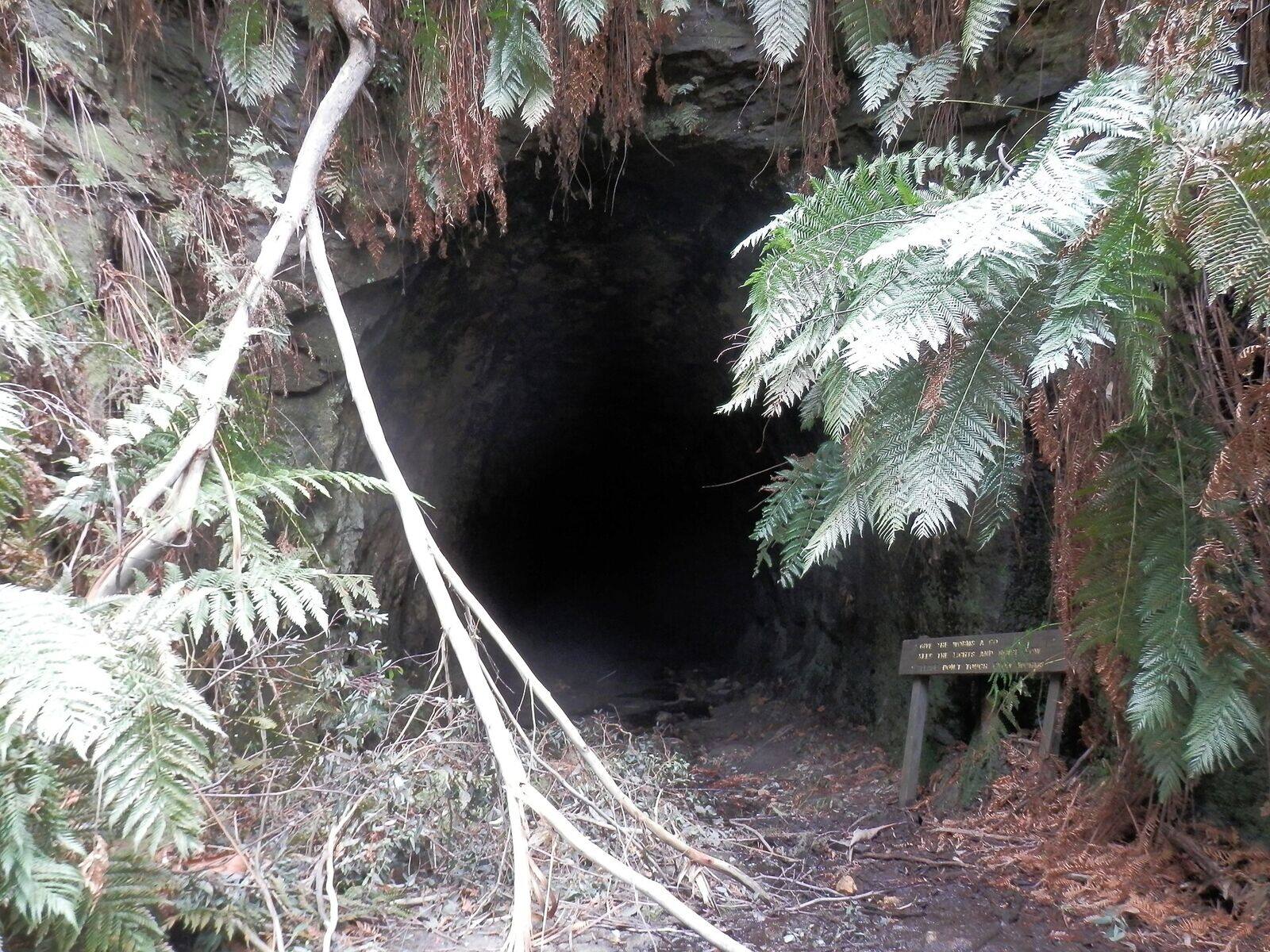 Newnes glow worm tunnel with bioluminescent glow worms