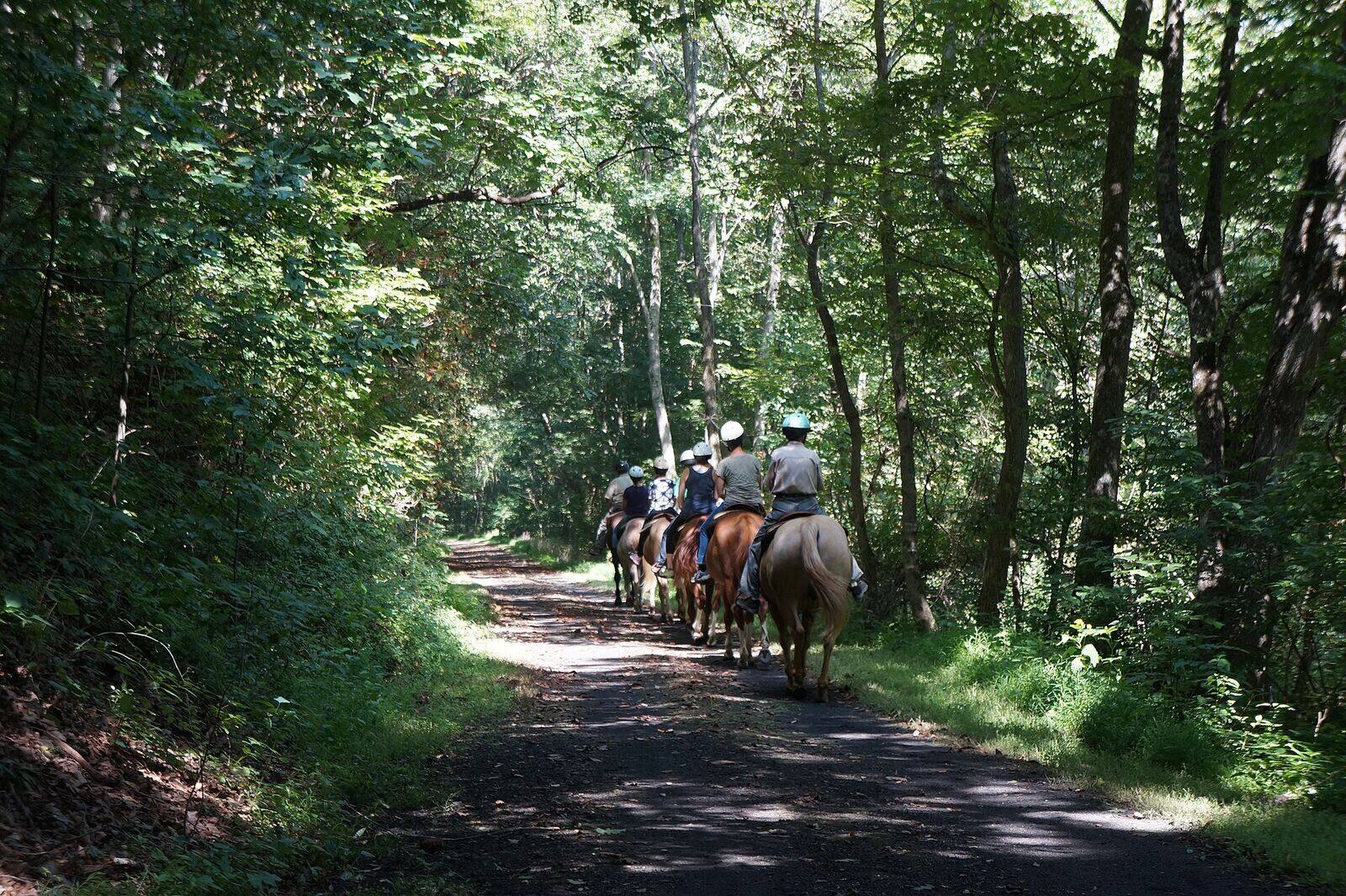 Trail riding image used for Megalong Valley horse-riding planning inspiration