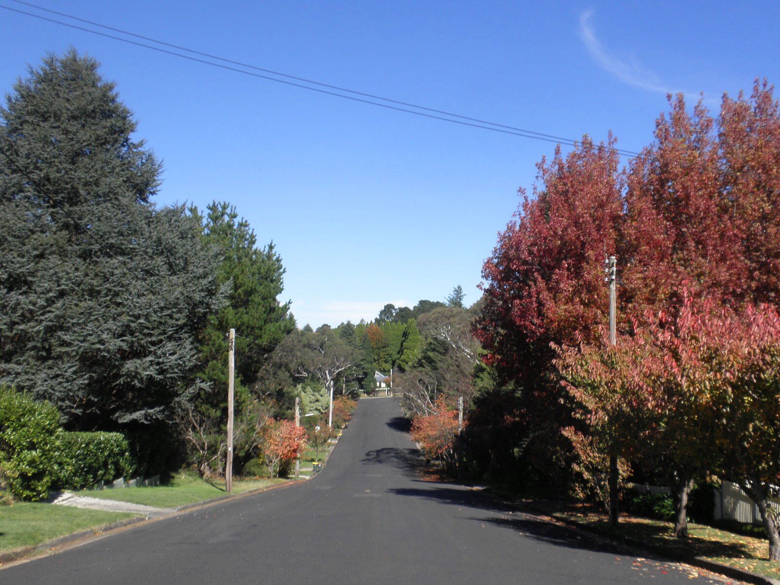 Leura village area image used for Fairmont Resort family planning