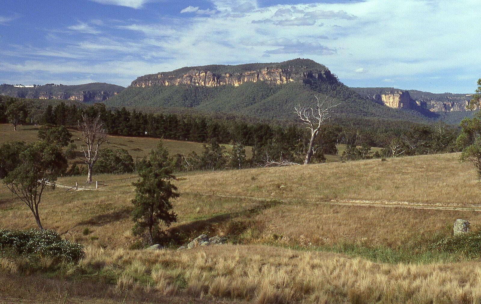 Blue Mountains landscape image used for Mount Tomah Botanic Garden planning inspiration