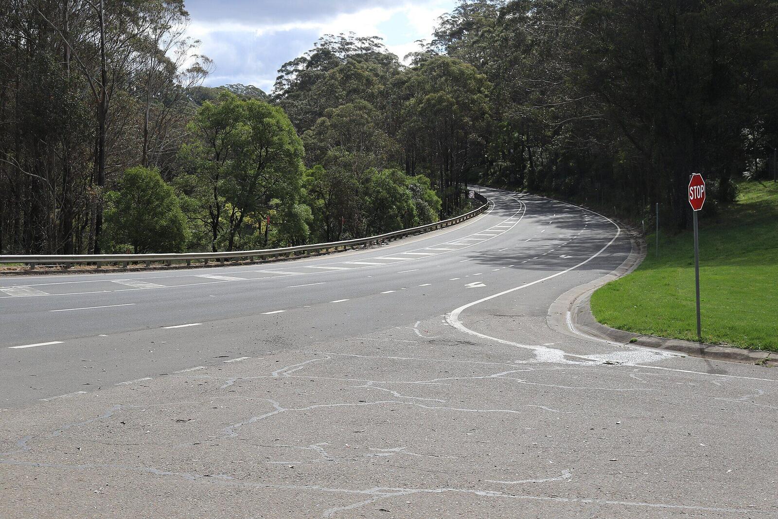 Private Blue Mountains day trip route from Sydney Harbour for cruise passengers