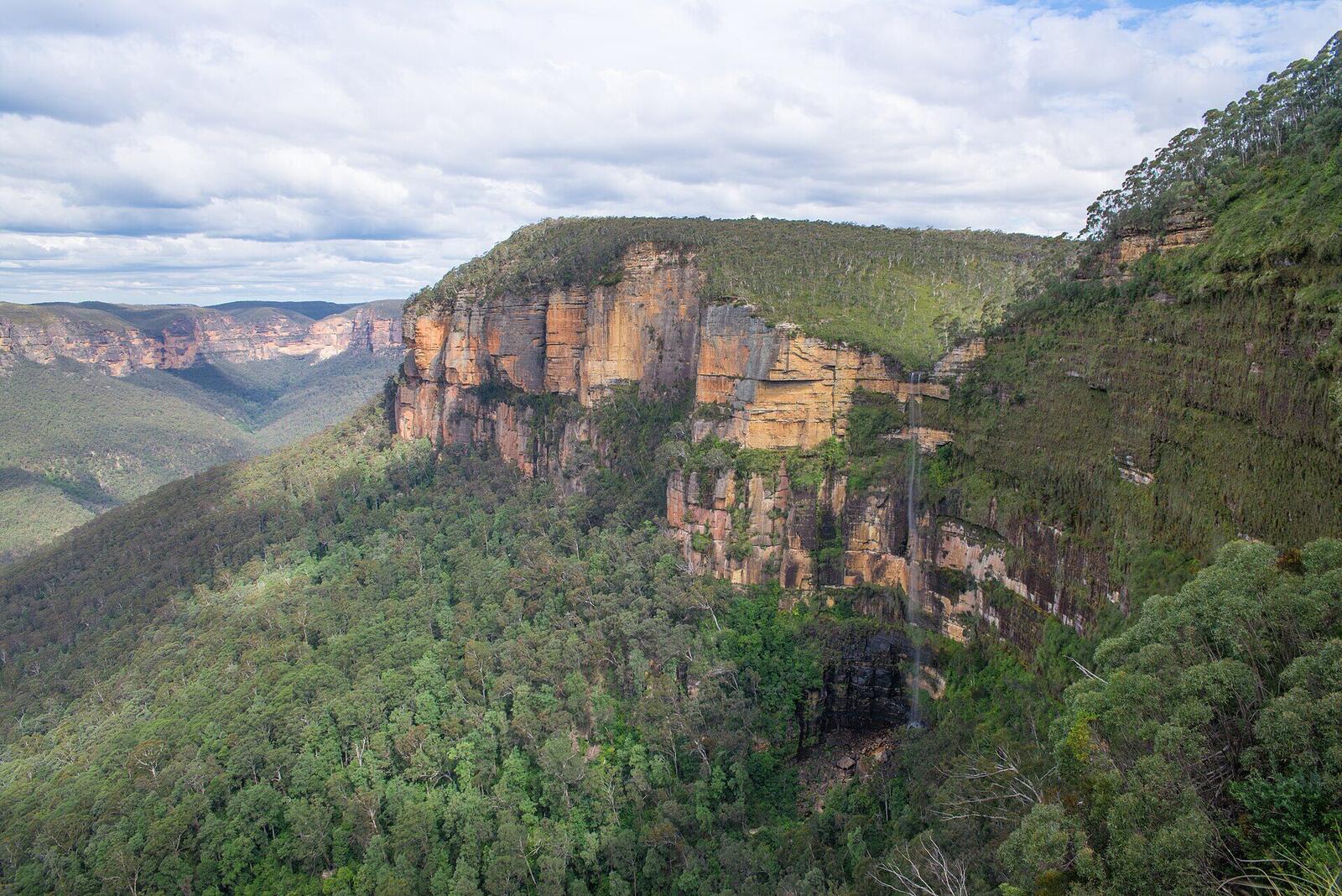 Grand Canyon Track forested gorge walk in the Blue Mountains
